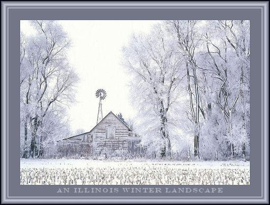Illinois Winter Landscape