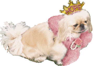 Daisy Queen of Hope