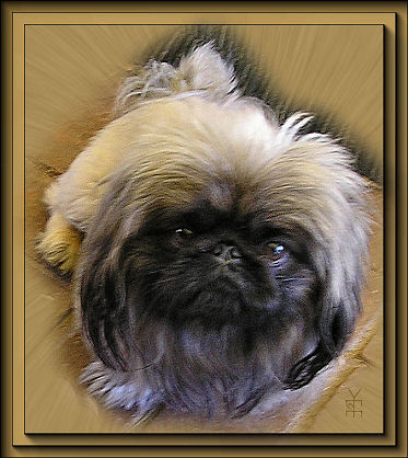 My Song Just a Matter of Time, his portrait
