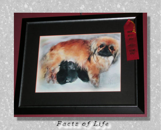 Facts of Life Computer Imagery Art