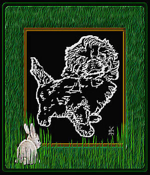 Scratchboard Pekingese Puppy
