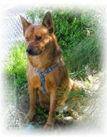 picture of Annie